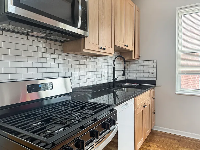1041 N Hermitage Ave #3W — Photo 8