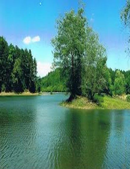 1st image of Lot 33 Hiwassee Lakeside Drive