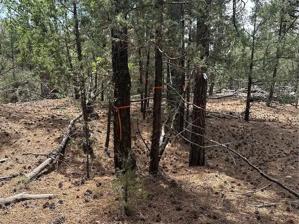 204 Zapata Place, Mosca, CO 81146