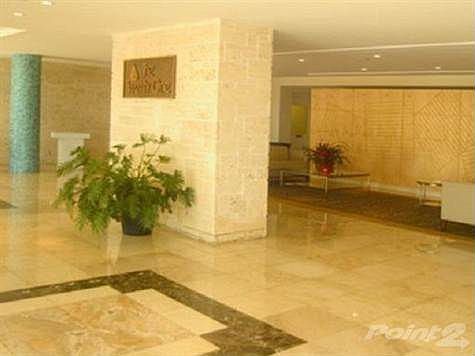 2nd image of 2121 N Bayshore Dr APT 1203
