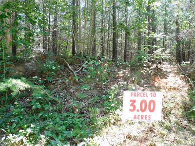 Neals Corner Rd, Clover, VA, 24534