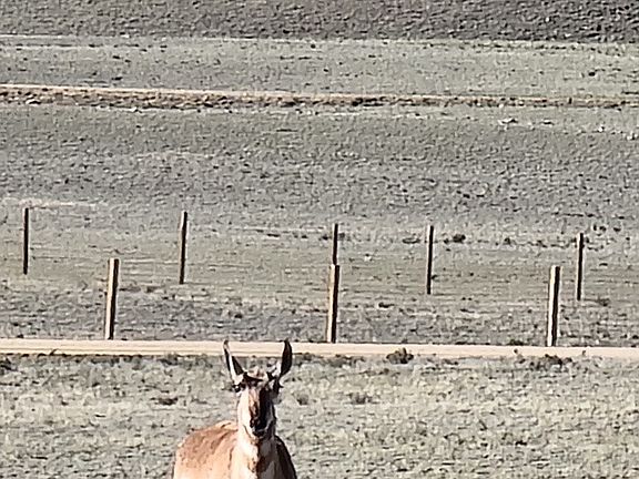 5th image of 1071 Yellowstone Road