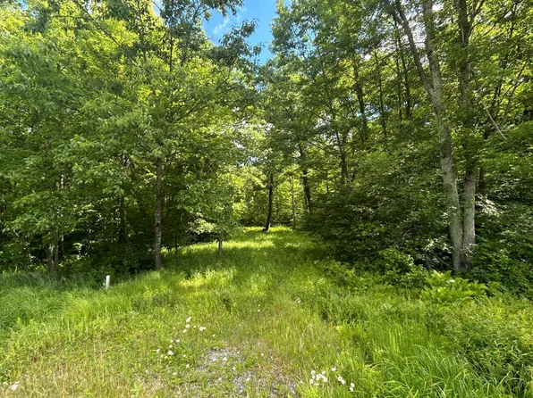 Badger Ave, Granton, WI 54436