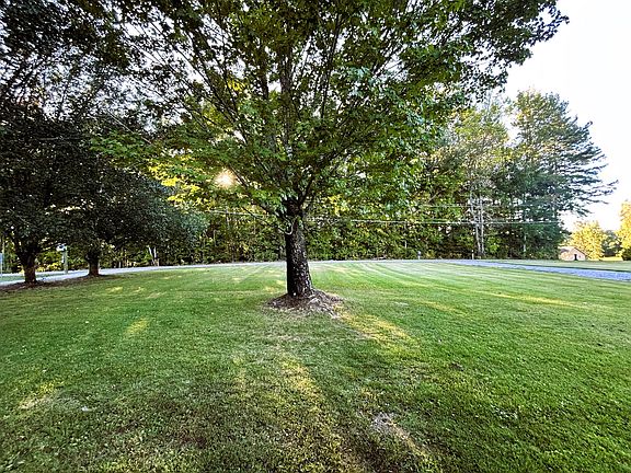 5th image of 169 County Road 439