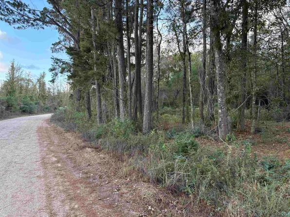 TRACT Rs #17, Denham Springs, LA 70706
