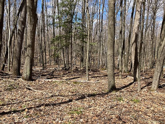 2nd image of 6863 E Spring Ln