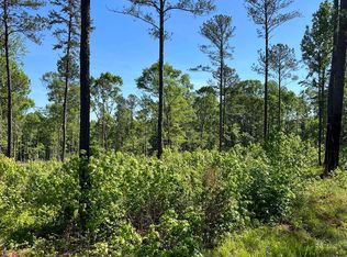 681 Giles Rd, Forsyth, GA 31029