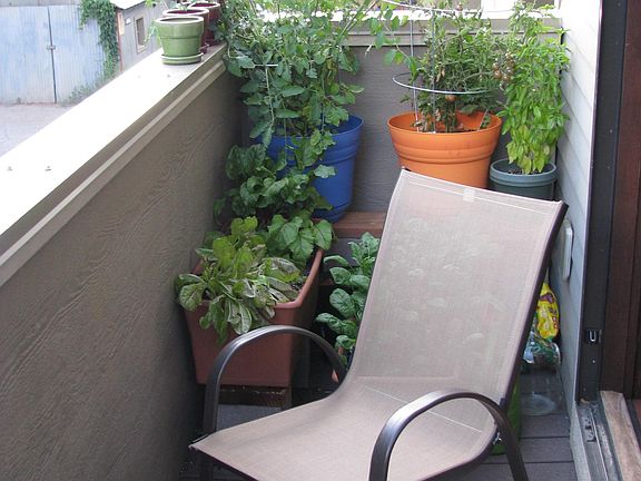 Back Patio