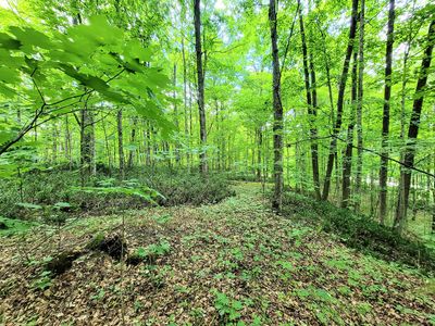 5845 Northridge Rd, Gaylord, MI, 49735