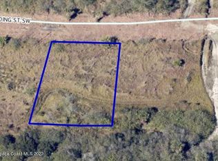 1080 Rounding St SW, Palm Bay, FL 32908