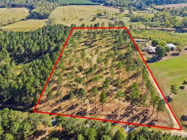 900 County Road 450, Elba, AL 36323