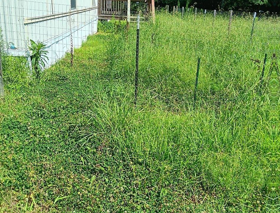 2nd image of 5980 Prospect Rd