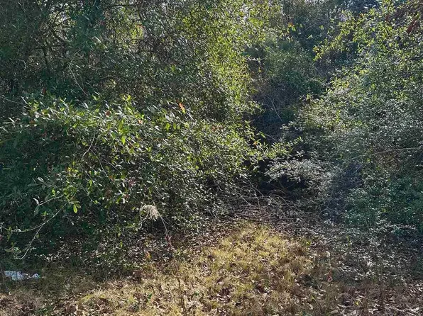 400 Blk N Century Blvd, Walnut Hill, FL 32568