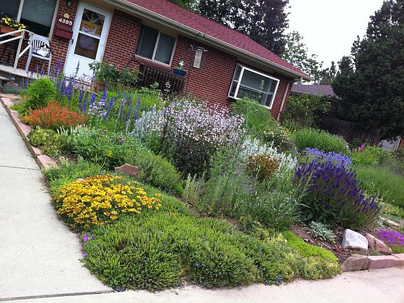 xeriscaped front (summer photo)