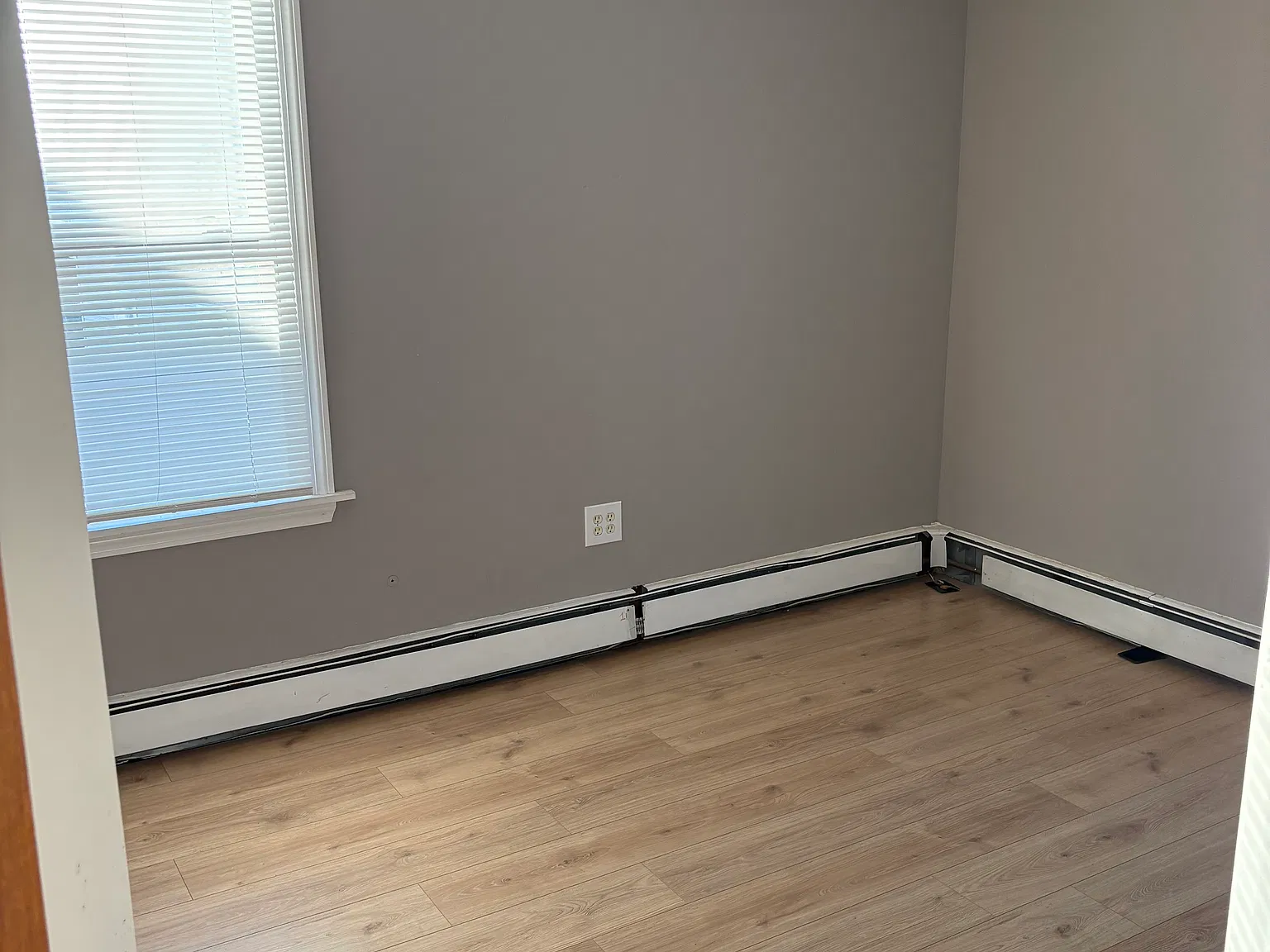 55 Maitland St — Photo 2