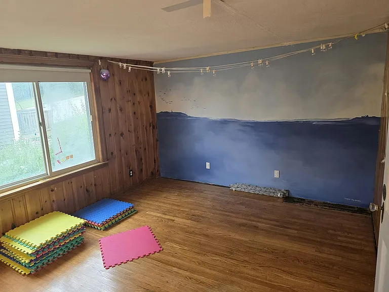 Playroom/Office