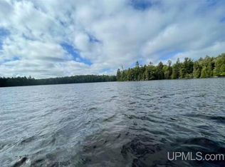 Loon Lake Rd, Covington, MI 49919