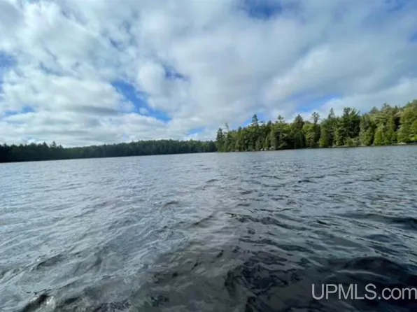 Loon Lake Rd, Covington, MI 49919