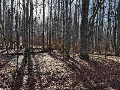 LOT 39 Schutzen Ln, Bellaire, MI, 49615