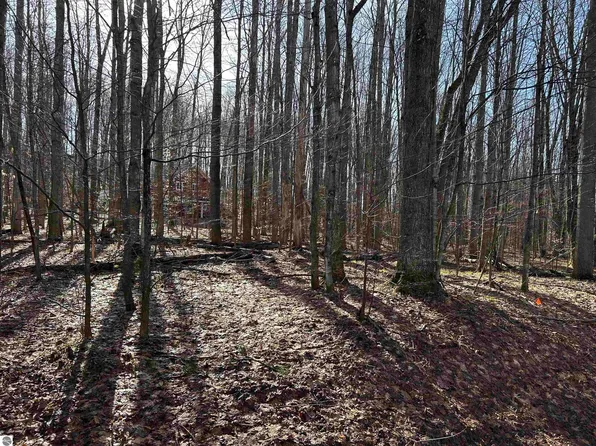 LOT 39 Schutzen Ln, Bellaire, MI 49615