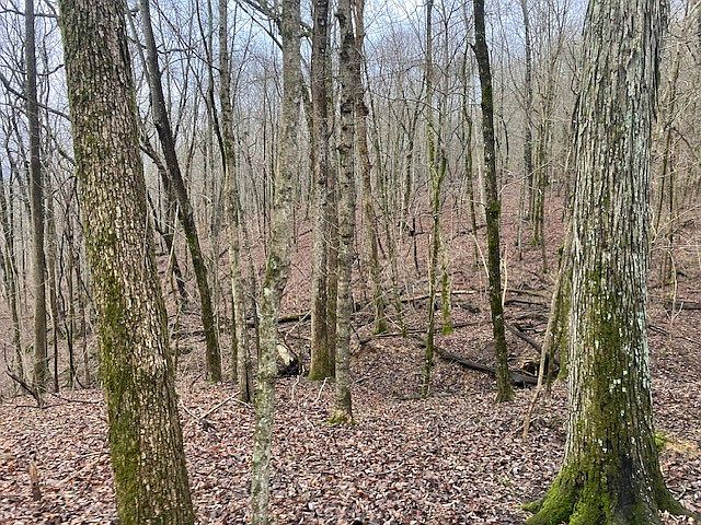 1st image of 0 Talley Top Trl