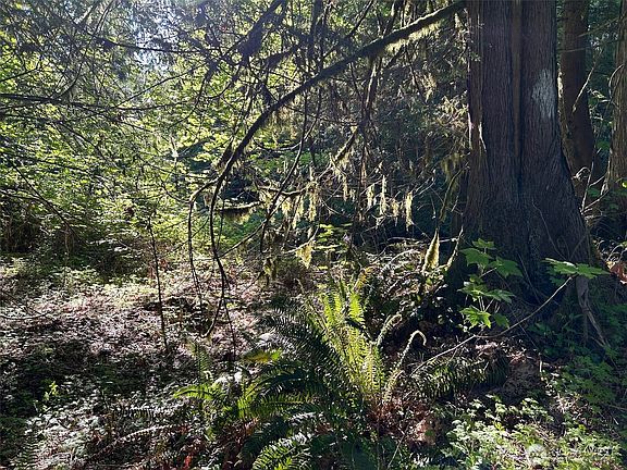 2nd image of 501 N Olympic Trails