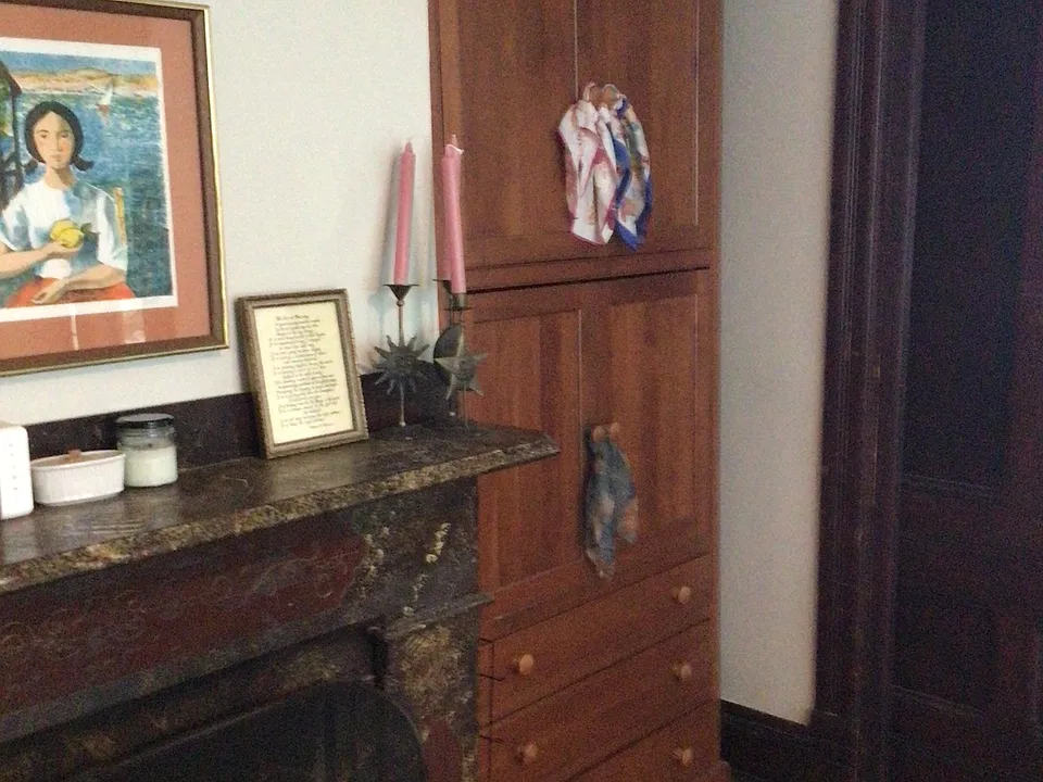 fire place and furnished cherry storage