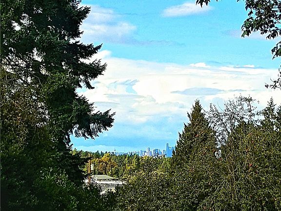 View of downtown Seattle and the Space Needle from your backyard, kitchen, & dining room.