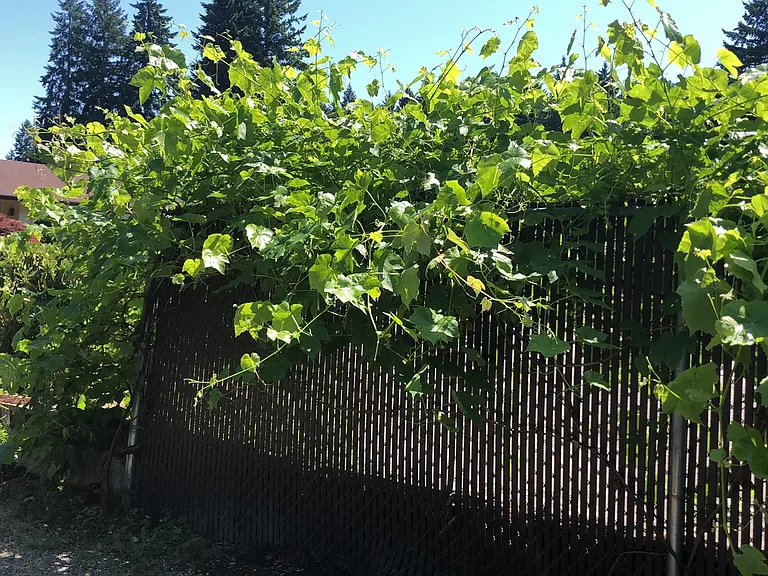 10906 114th Ave SW — Photo 10