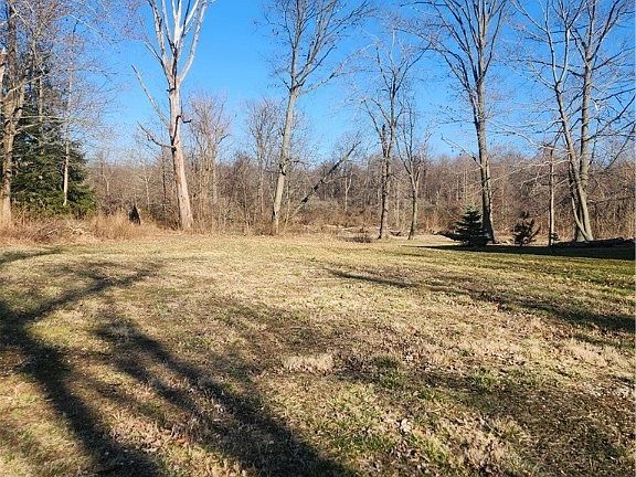 3rd image of 193 Steele Ave