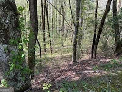 0 Bald Mountain Rd, Dillard, GA, 30537
