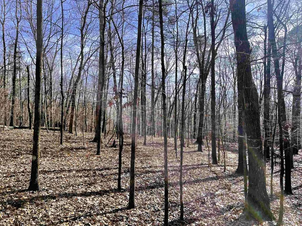 0 County Road 852 #2, Heflin, AL 36264
