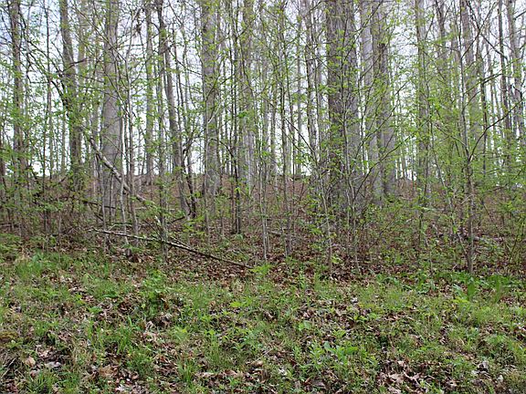 2nd image of 80 Lisanby Rd