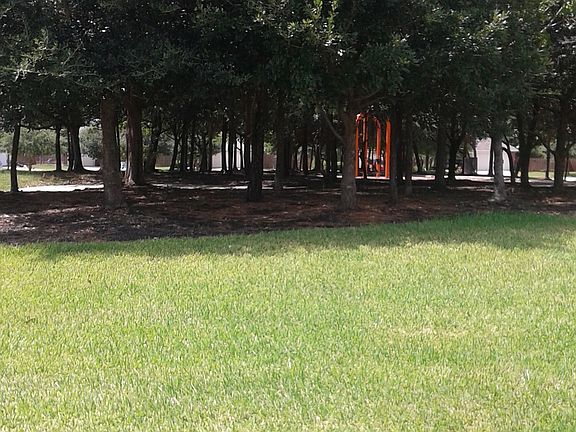 Your view from front yard