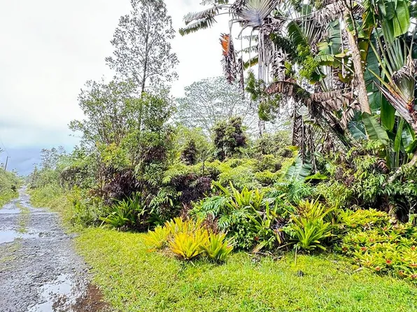 16-1382 Opeapea Rd Lot 4533, Mountain View, HI 96771