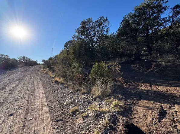 80 Longfellow Rd, Timberon, NM 88350