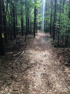Thickety Creek Rd, Mount Gilead, NC, 27306