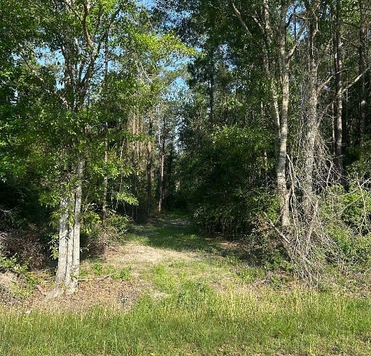 2nd image of 0 Old Highway 31