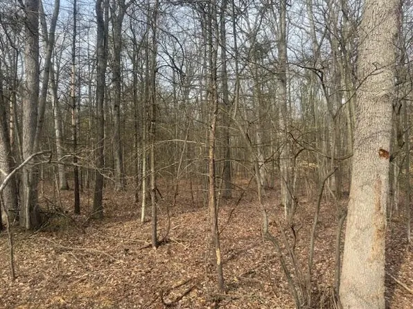0 E Meinert Rd, Holton, MI 49425