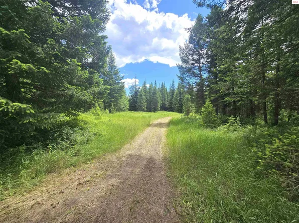 7248 E Honeysuckle Rd, Athol, ID 83801