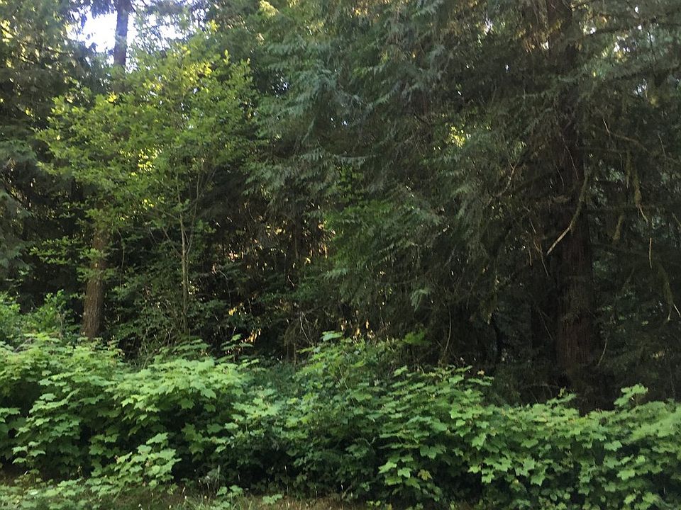 2nd image of Garoutte Rd