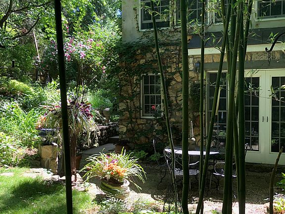 Back Garden 