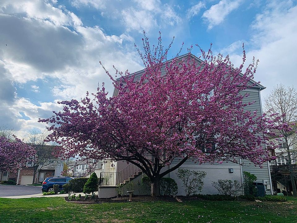 2nd image of 21 Cherry Ct