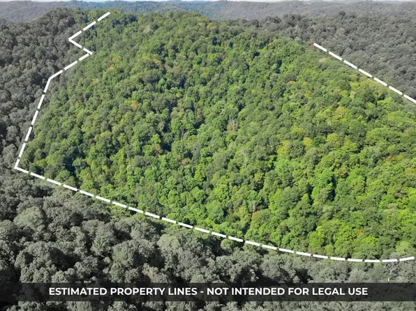 (undisclosed Address), Jacksonburg, WV 26377