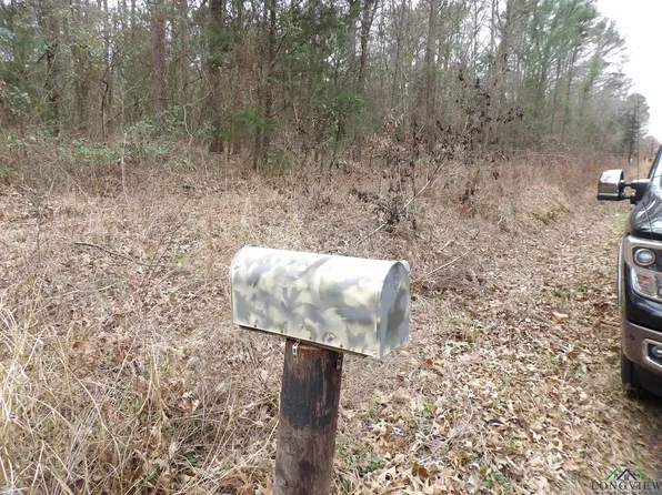 7134 Green Hills Rd, Gilmer, TX 75645