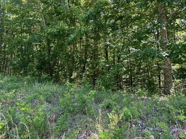 70 Teludachee Trl Lot 70, South Pittsburg, TN 37380