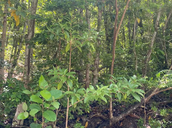 13-O Bellevue CO, St. Croix, VI 00820