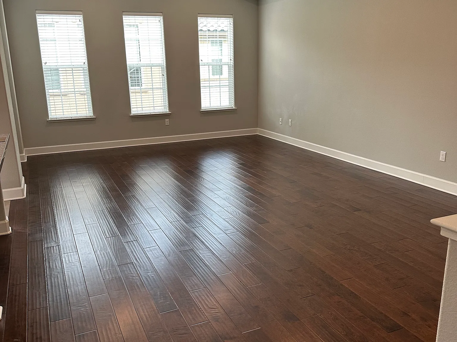 2037 Wind Ranch Rd — Photo 4