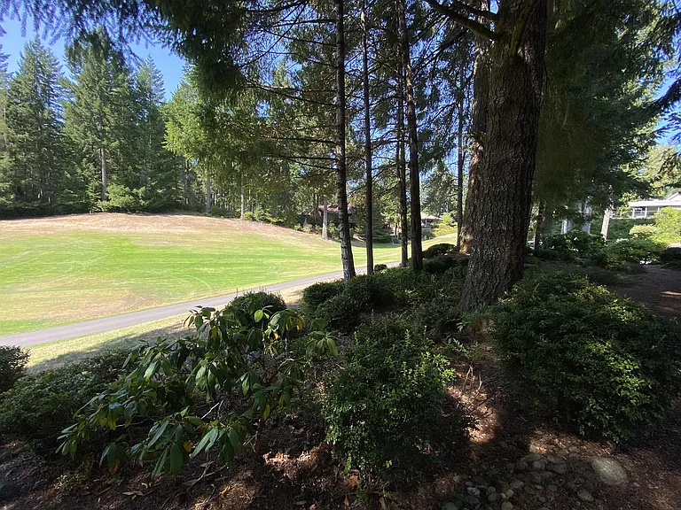 501 E Michelle Dr — Photo 24