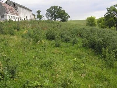 N7395 Jeremiason Ln, Blanchardville, WI, 53516
